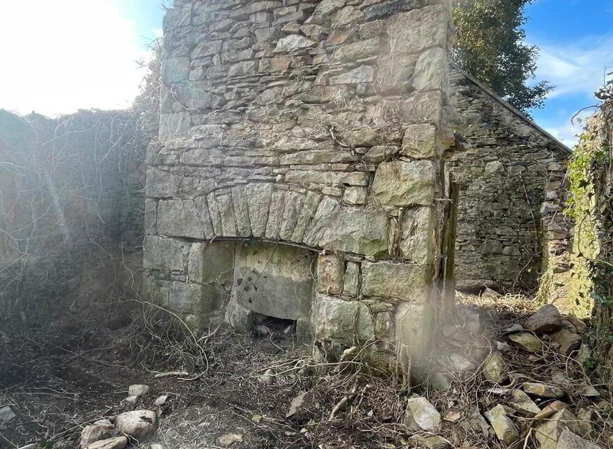 Taghnarra, Castlerea