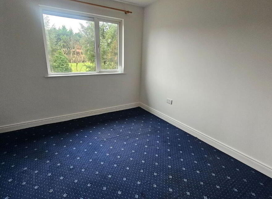 1 Spring Field, Castlerea, F45TF97