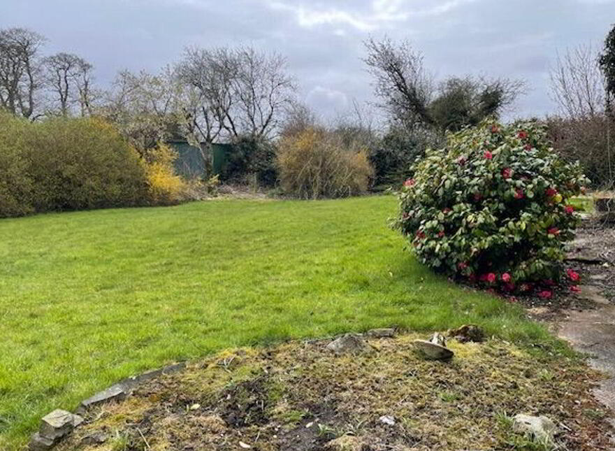 Tarmun Road, Castlerea, F45VK03