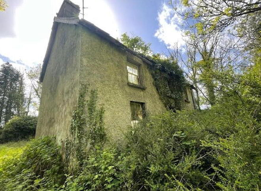Rushpark, Farragher, Ballymacurley