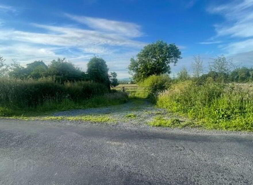 Tibohine, Castlerea, Tibohine, F45R781