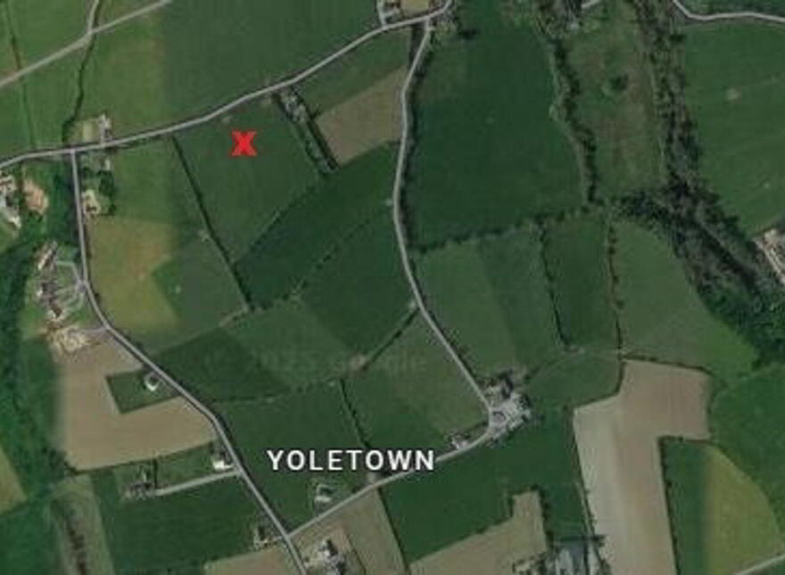 Boher Boy, Yoletown, Ballycullane photo