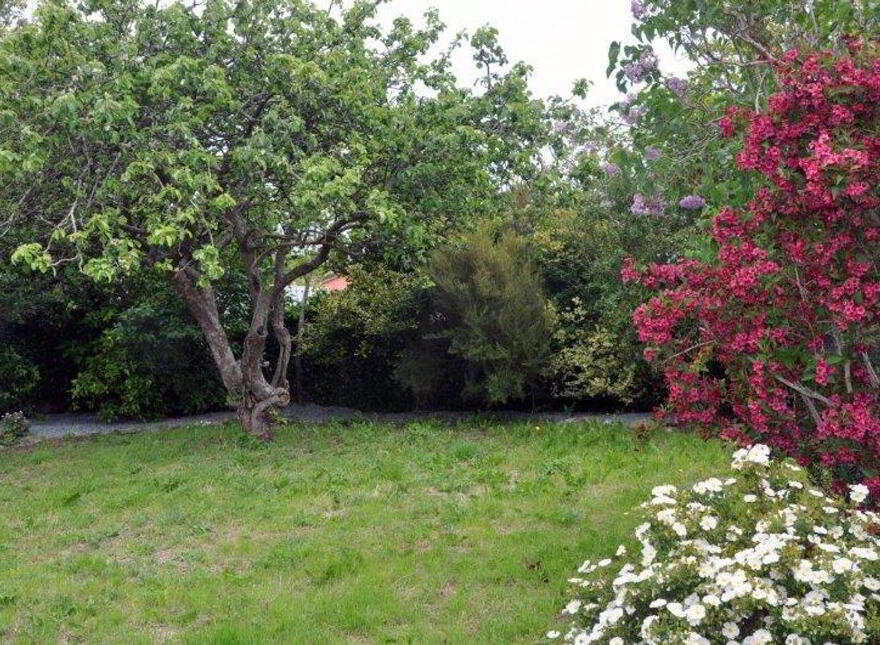 Appletree Cottage, Sluice Lane, Fethard-On-Sea, Y34W283