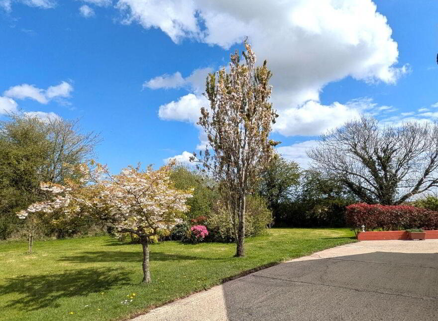 Mayfield, Saint Martin's Park, Ballycullane, Y34AK74
