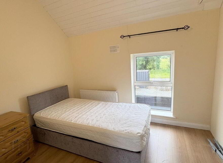 Cloonmore, Tarmonbarry, Tarmonbarry, N39KX98
