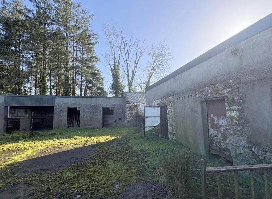 Kiltycon, Moyne, N39TR23