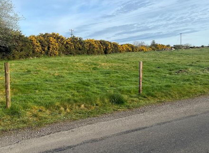Callatra Kylebrack, Loughrea