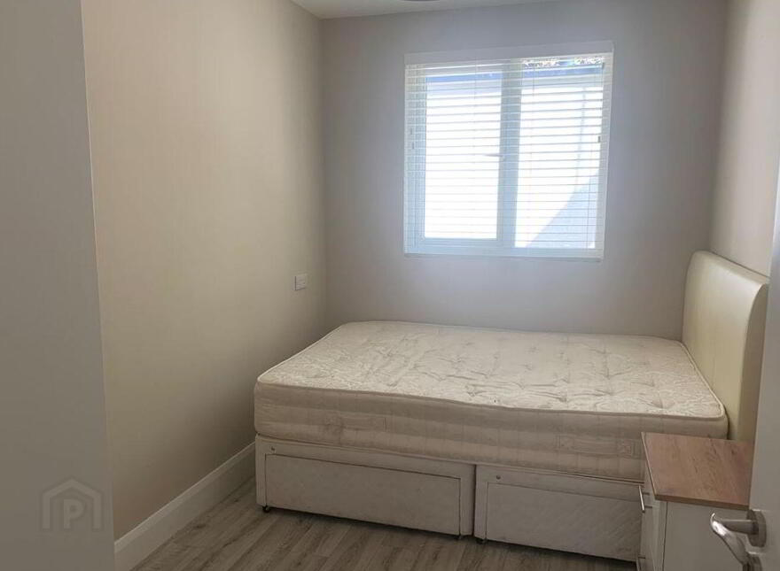 Moore Street, Loughrea, H62V489