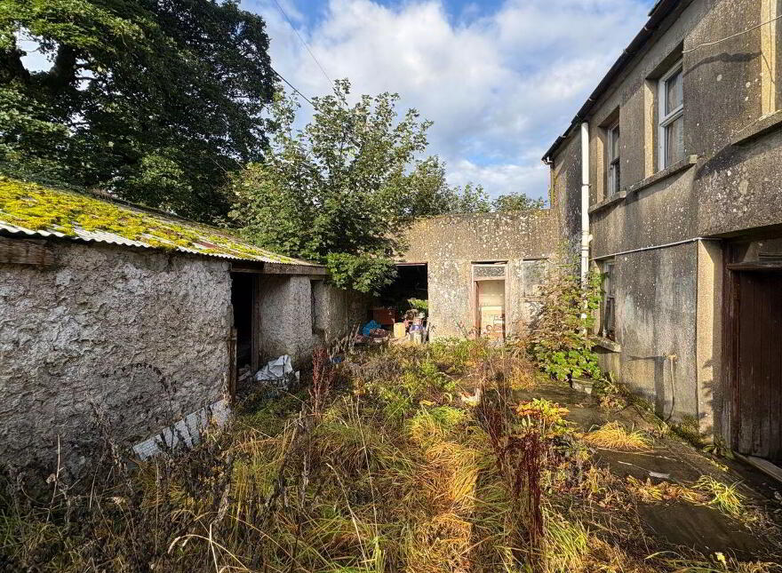 Kilfenora, Ennis, Kilfenora, V95R263