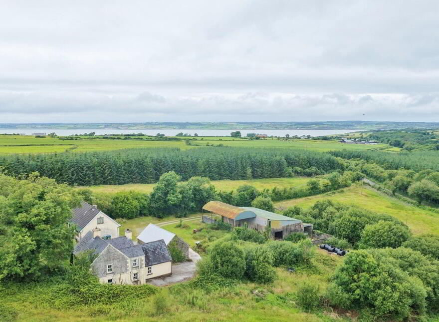 Curra More, Loughill, Loughill, V94EA3P