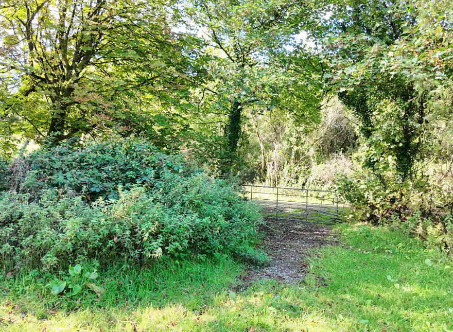 Derries, Ballintra