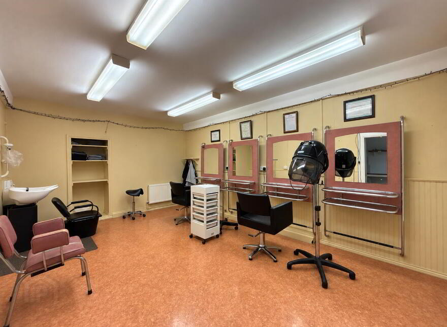 Chapel Street, Mullinahone, E41WE51