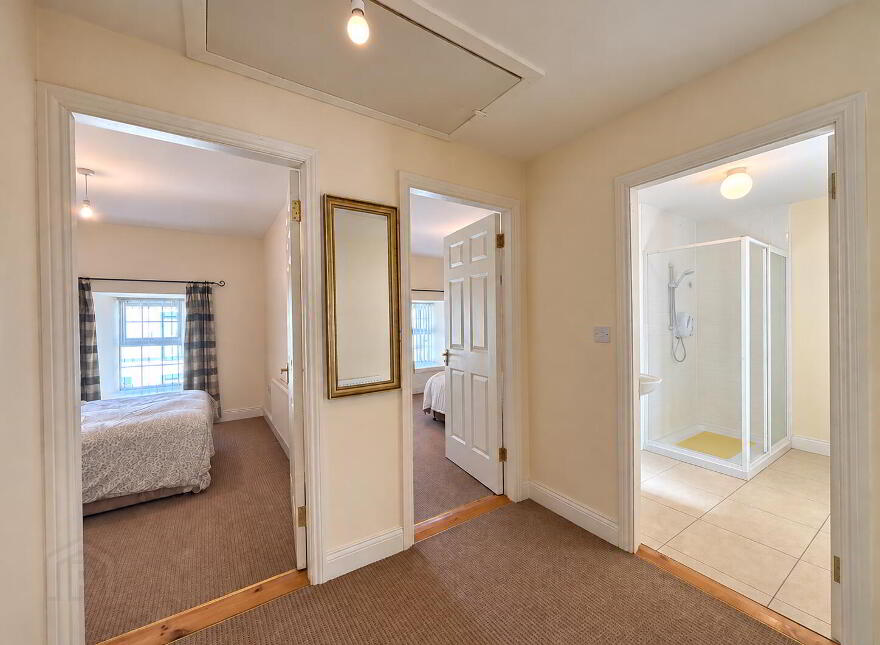 Chapel Street, Mullinahone, E41WE51