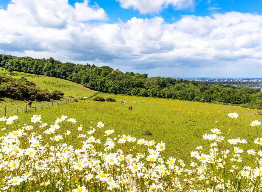 Mount Venus, Killakee Road, Rathfarnham, Dublin 16, D16N765