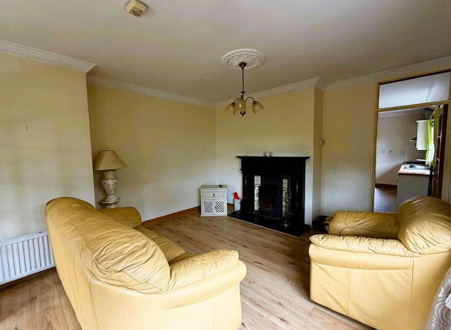 9 School Lane, Dunleer, A92XE18