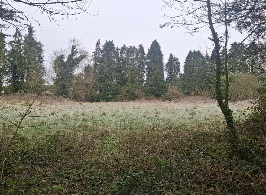 Ardmore Road, Pluck photo