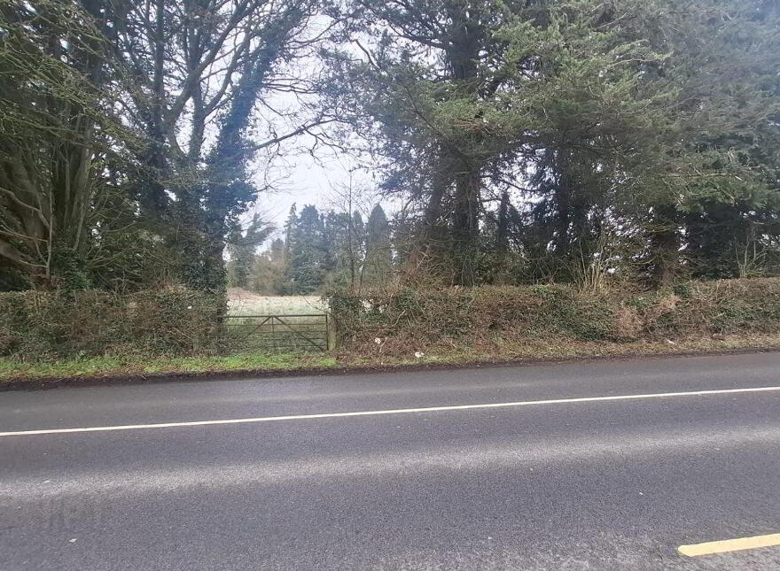 Ardmore Road, Pluck