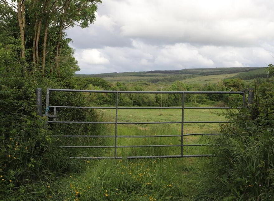 1.1 Acre Site Holymount, Gort