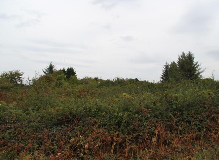 0.72 Acres, Mountscribe, Kinvara