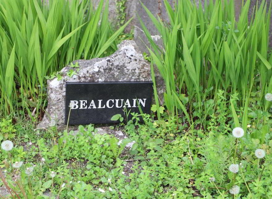 2 Beal Cuain, Kinvara, H91NY0R