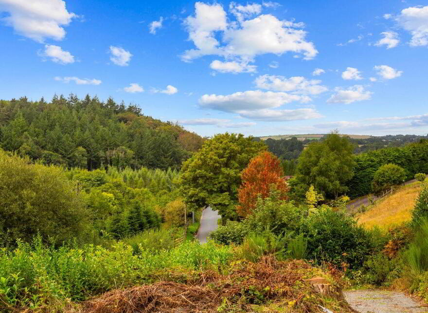 The Cottage, Knockanree, Avoca, Y14E042