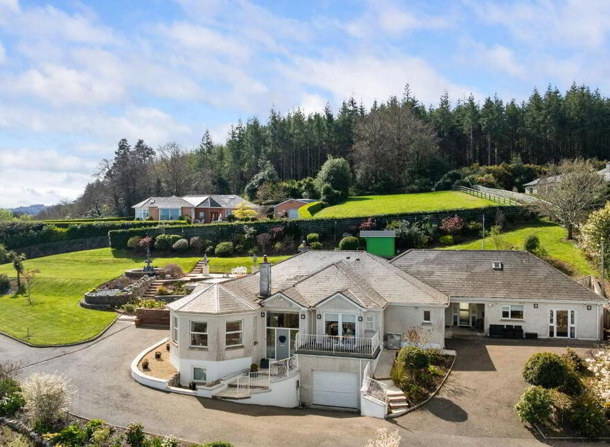 Aurora, Ballymacahara, Ashford, A67K668 photo