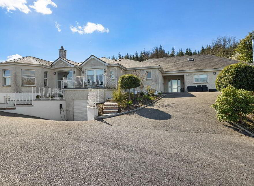 Aurora, Ballymacahara, Ashford, A67K668