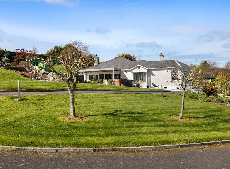 Aurora, Ballymacahara, Ashford, A67K668