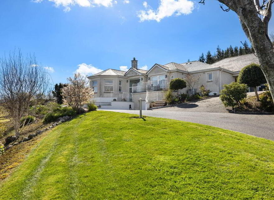 Aurora, Ballymacahara, Ashford, A67K668