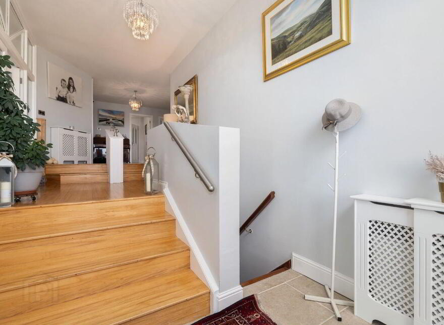 Aurora, Ballymacahara, Ashford, A67K668
