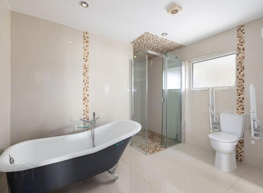 Aurora, Ballymacahara, Ashford, A67K668