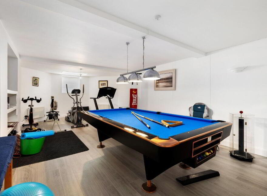 Aurora, Ballymacahara, Ashford, A67K668