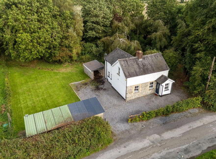 Tí Lynch, Wardstown, Athboy, C15K303