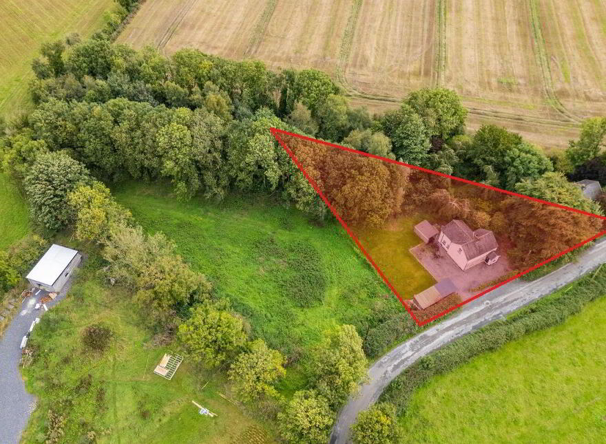 Tí Lynch, Wardstown, Athboy, C15K303