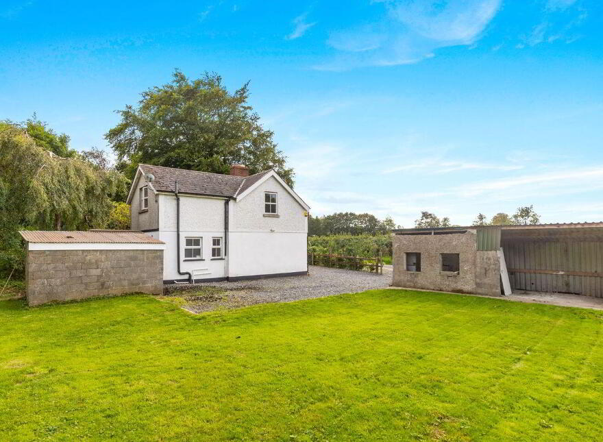 Tí Lynch, Wardstown, Athboy, C15K303