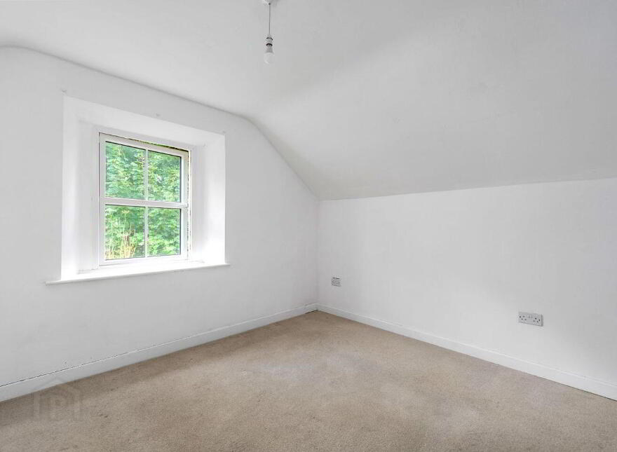 Tí Lynch, Wardstown, Athboy, C15K303