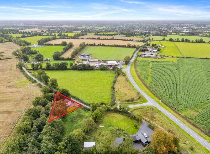 Tí Lynch, Wardstown, Athboy, C15K303