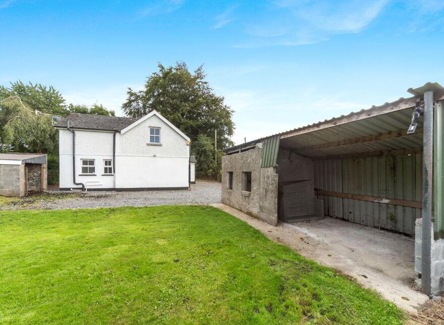 Tí Lynch, Wardstown, Athboy, C15K303
