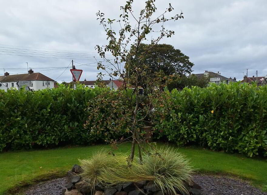 244 Straid Road, Bushmills, BT57 8QS