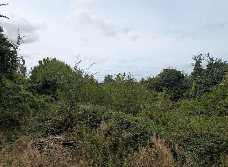 Islandbawn, Nenagh, E45WK09