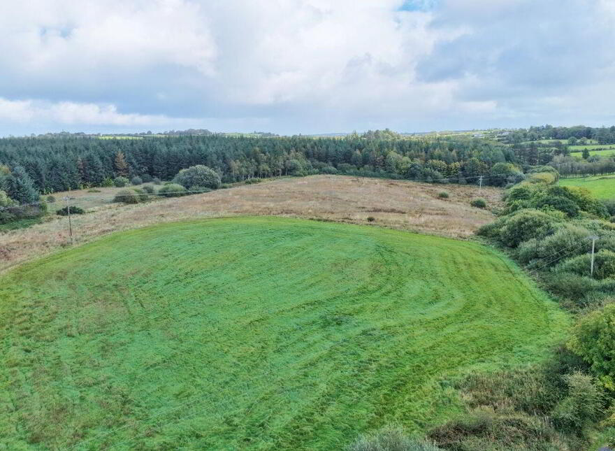 Fleanmore, Ballyhahill