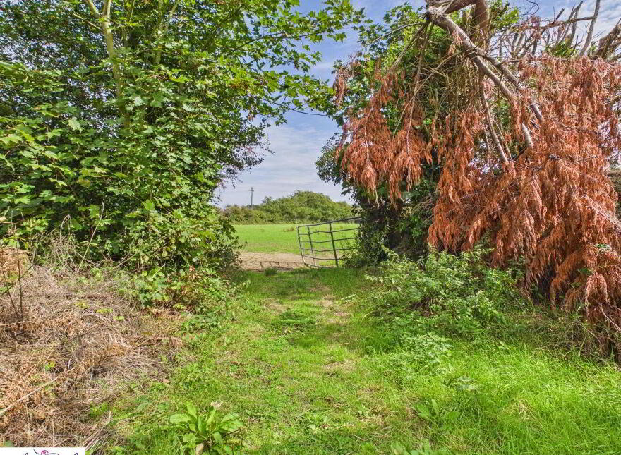 Cottage On Circa 3.06 Acres At Grayrobin, Tomhaggard, Y35E4Y1