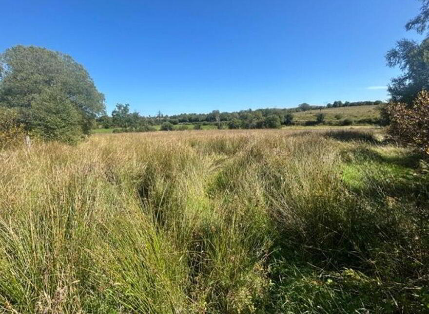 Cottage, & 44.52 Acres, Gubaveeney, Blacklion