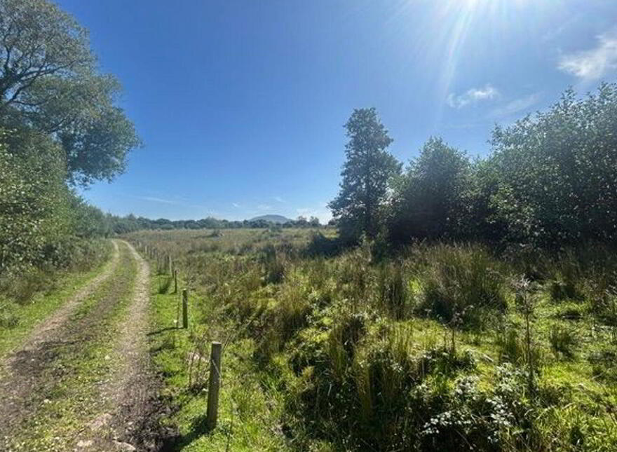 Cottage, & 44.52 Acres, Gubaveeney, Blacklion