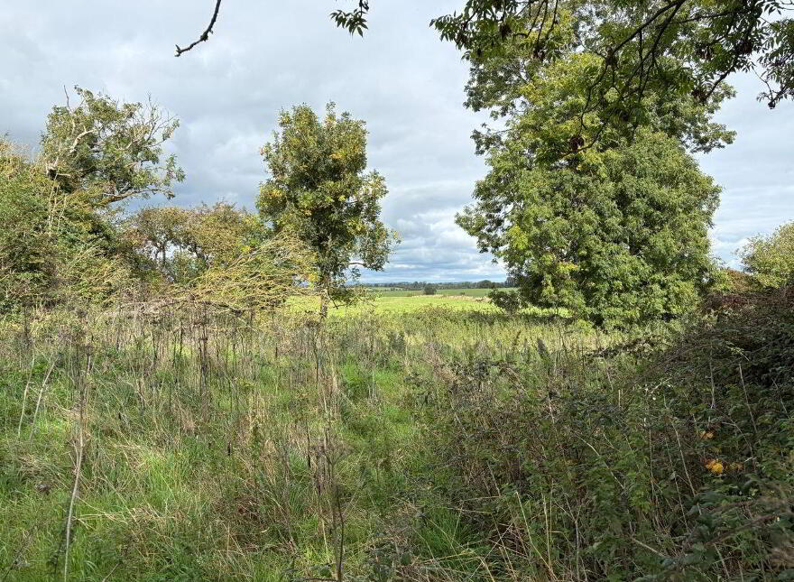 Rose Cottage, Ballyglass, Four Mile House, F42FD00