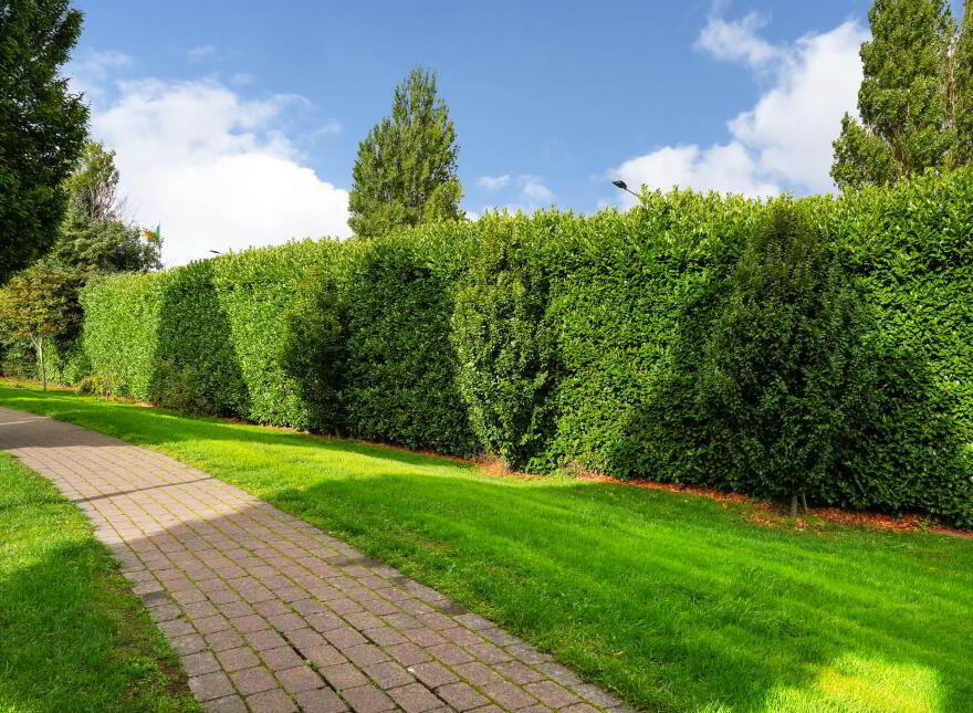 3 Ballintyre Downs, Ballinteer, Dublin, D16XA71