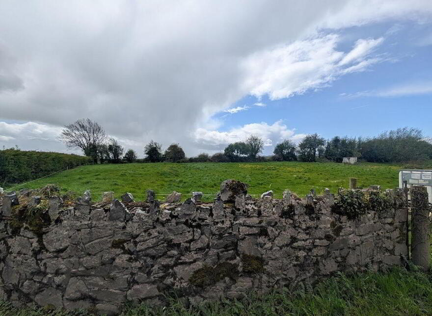 Kylepark, Borrisokane photo