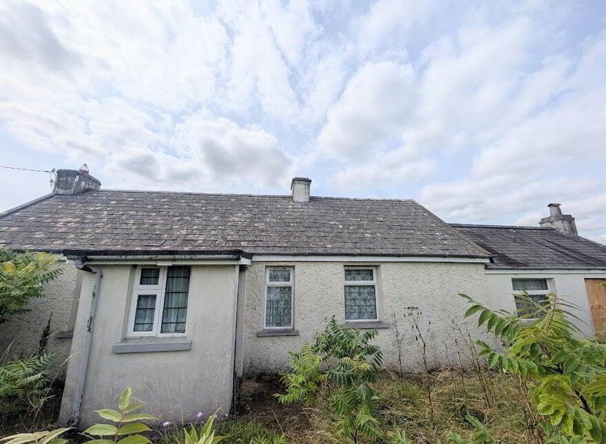 Clash, Toomevara, Toomevara, E45TX26 photo