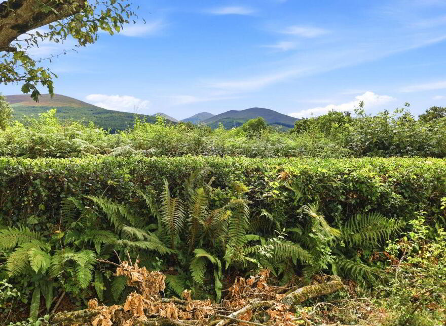 Glen Of Aherlow, Glen Of Aherlow, E34YP80