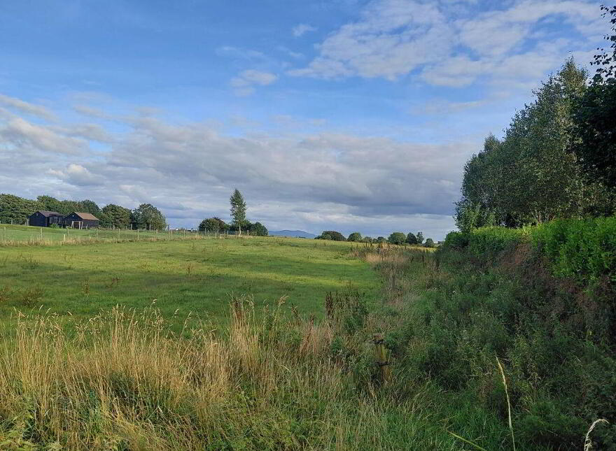 Caherconreeffy, Pallasgreen